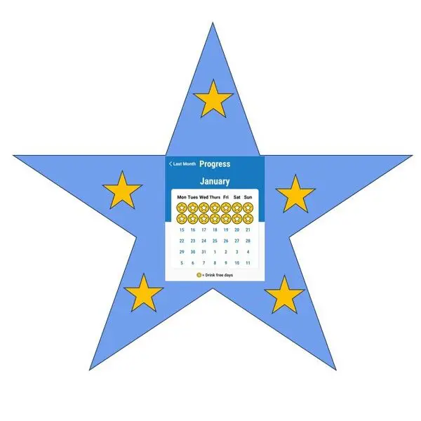 Star with calendar and progress chart.