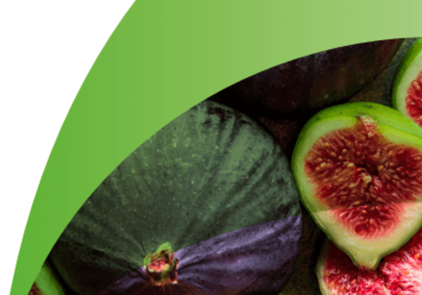 Figs and watermelon slices with green border.