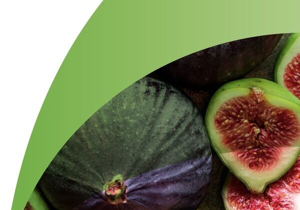 Figs on a green background, food safety.