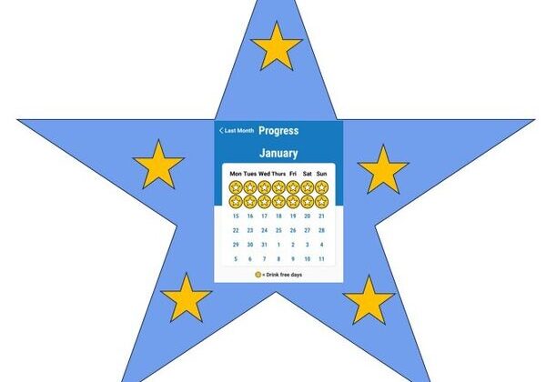 Star with calendar and progress chart.