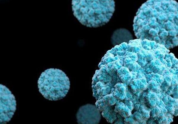 Blue virus particles on a black background.